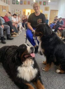 dogoterapia010