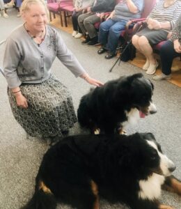 dogoterapia014
